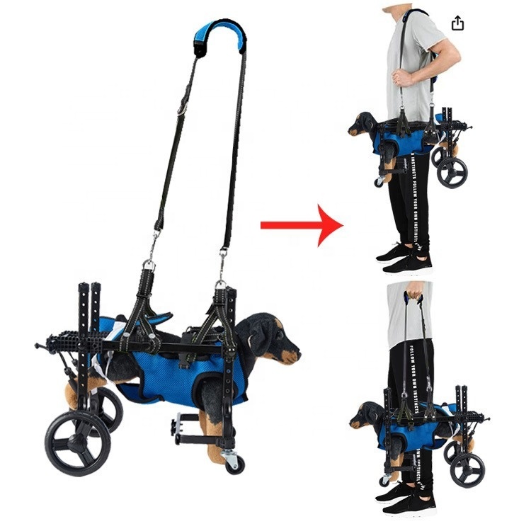 Alat Bantu Jalan Rehabilitasi  - Outdoor Power Wheels ulasan dan harga