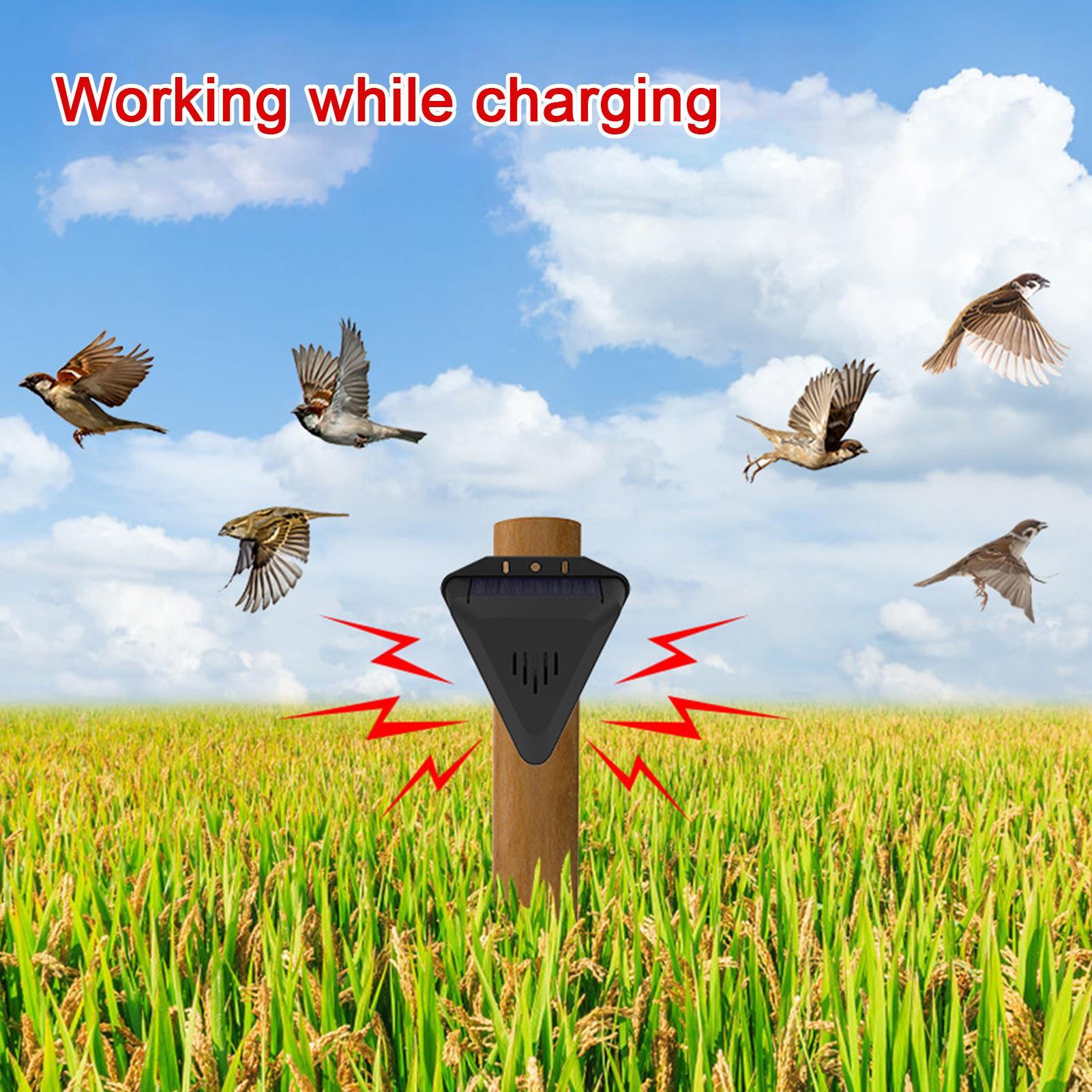 Pengusir Burung Tenaga Surya D - Outdoor Power Timer ulasan dan harga