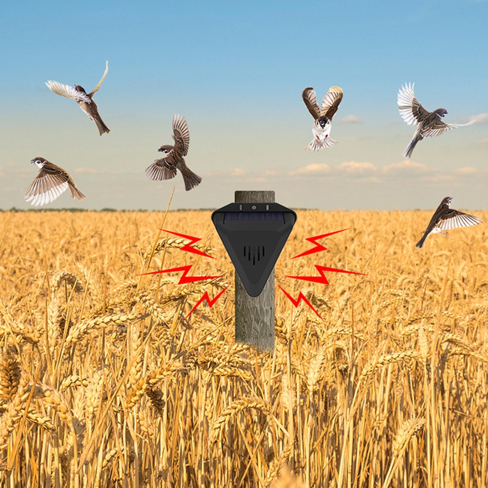 Pengusir Burung Tenaga Surya D - Outdoor Power Timer ulasan dan harga